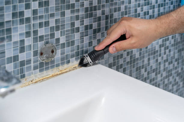 Best Fast Mold Removal  in Windsor, IL